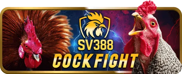Cá cược thể thao tại Tobet88